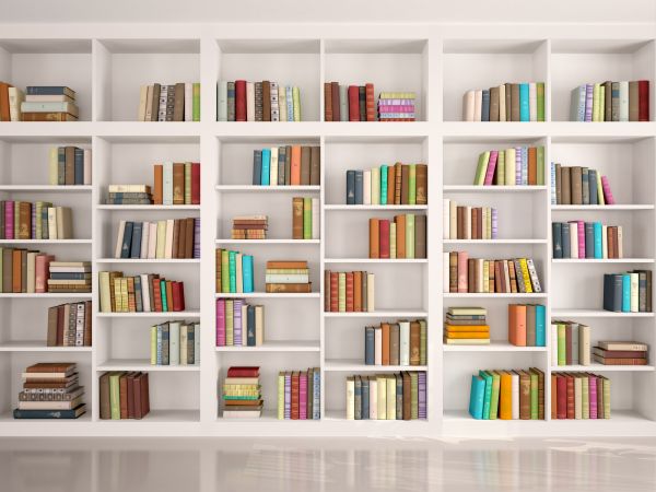 Bookshelf Assembly in Lebanon