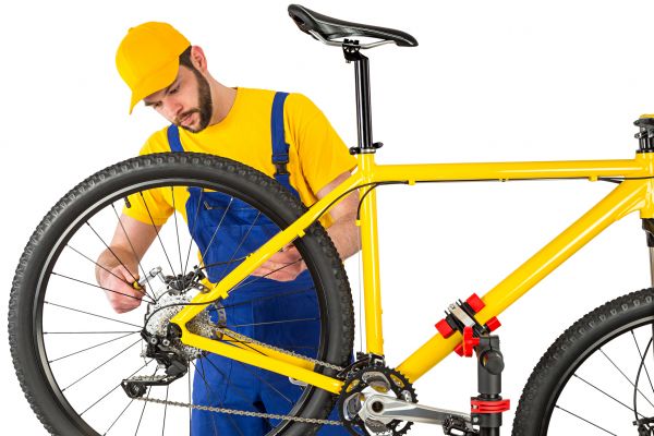 Cycle Setup